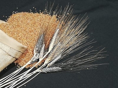 Karakılçık Köftelik Bulgur  1000g